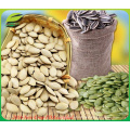 organic pumpkin seeds in shell